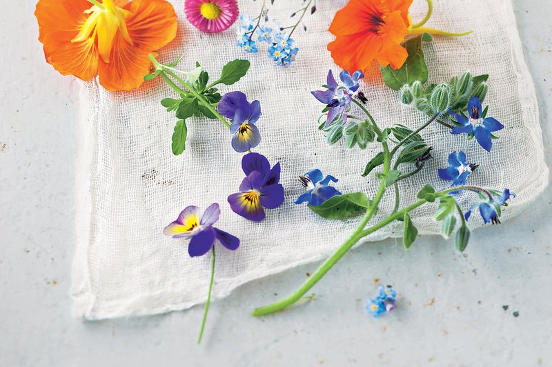 Užitni cvetovi so dekorativni, zdravi in slastni. Kako jih uporabiti? (foto: stockfood photo, jahresve)