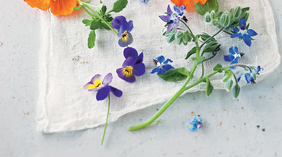 Užitni cvetovi so dekorativni, zdravi in slastni. Kako jih uporabiti? (foto: stockfood photo, jahresve)