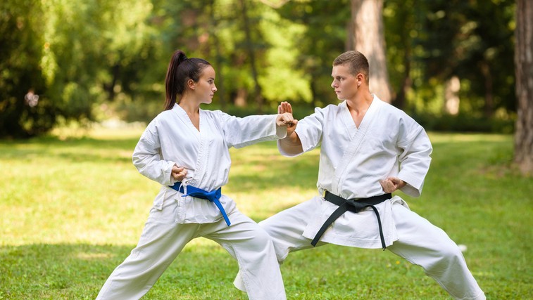 Vabljeni na brezplačne delavnice karateja in tai ji quana (foto: Shutterstock.com)