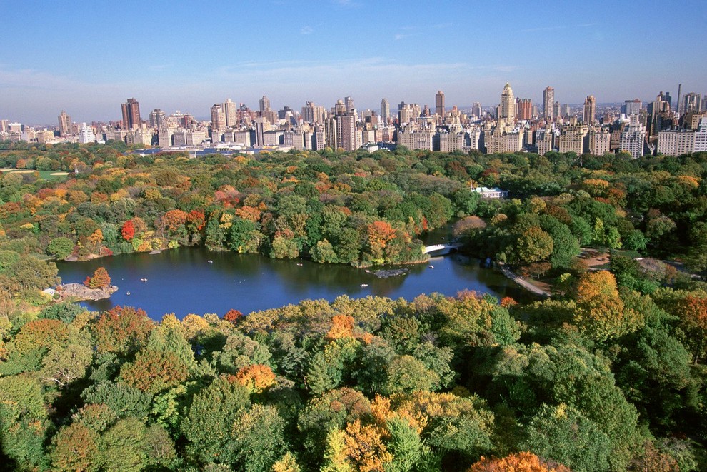 Central park Čudovite zelene površine, ki pokrivajo kar osmino celotnega Manhattna. V njem najdete jezera, igrišča, pravi gozd, plezalne skale, …