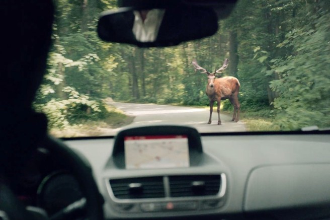 Ko Oplovci za snemanje oglasnih filmov izberejo Slovenijo