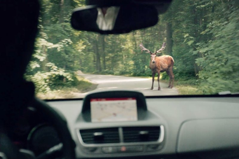 Ko Oplovci za snemanje oglasnih filmov izberejo Slovenijo (foto: Opel)