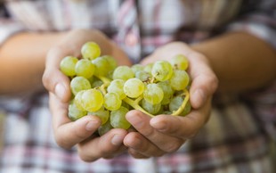 Spoznajte zdravilne lastnosti grozdja