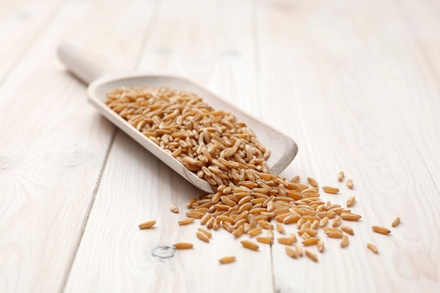 Kamut je predhodnik naše pšenice. Vsebuje selen, beljakovine in balastne snovi. Alternativa običajni pšenični moki za torte in pecivo. Kot …