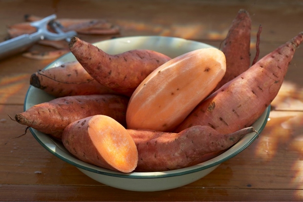 Sladek krompir vsebuje veliko vitamina A in C. Ja, tudi vitamina C. 100 g krompirja (kuhan, neolupljen) ga vsebuje približno …