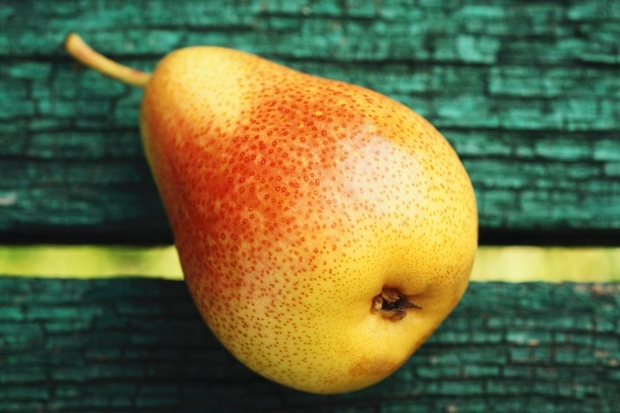 Hruške Spadajo med zelo priljubljeno vrsto sadja in so tudi sicer zelo dobre za splošno počutje. Vsebujejo veliko kalija, ta …