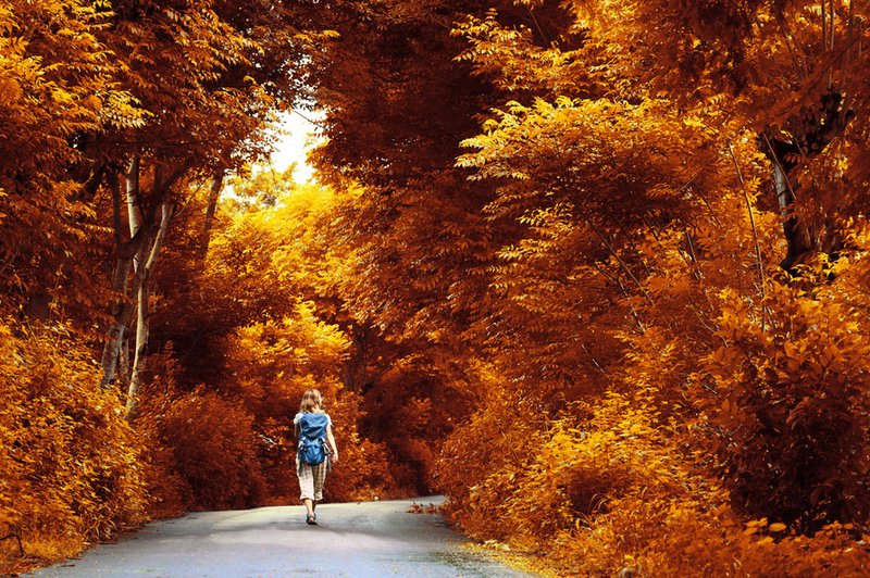 Tam, kjer je namera, je tudi pot! (foto: Shutterstock)