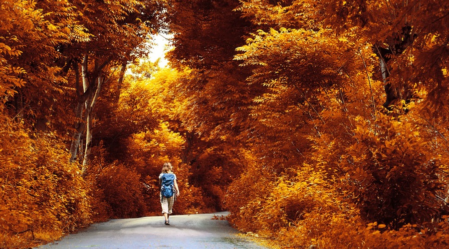 Tam, kjer je namera, je tudi pot! (foto: Shutterstock)