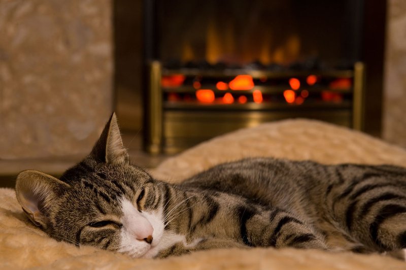 9 trikov, kako v mrzlih dneh poskrbimo za toplino brez povečanja stroškov ogrevanja (foto: Profimedia)