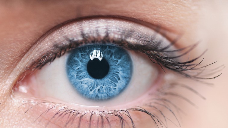 12 najboljših napotkov za zdrave oči (foto: Shutterstock.com)