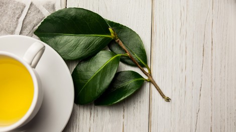 6 razlogov, zakaj zeleni čaj piti pogosteje