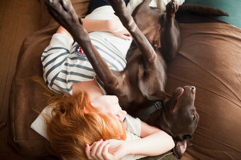 Kako spanje s hišnim ljubljenčkom v resnici vpliva na spanec? (foto: Profimedia)