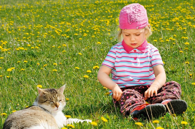 Otroci in pravila: Prav vsak se jih lahko nauči! (foto: Shutterstock)