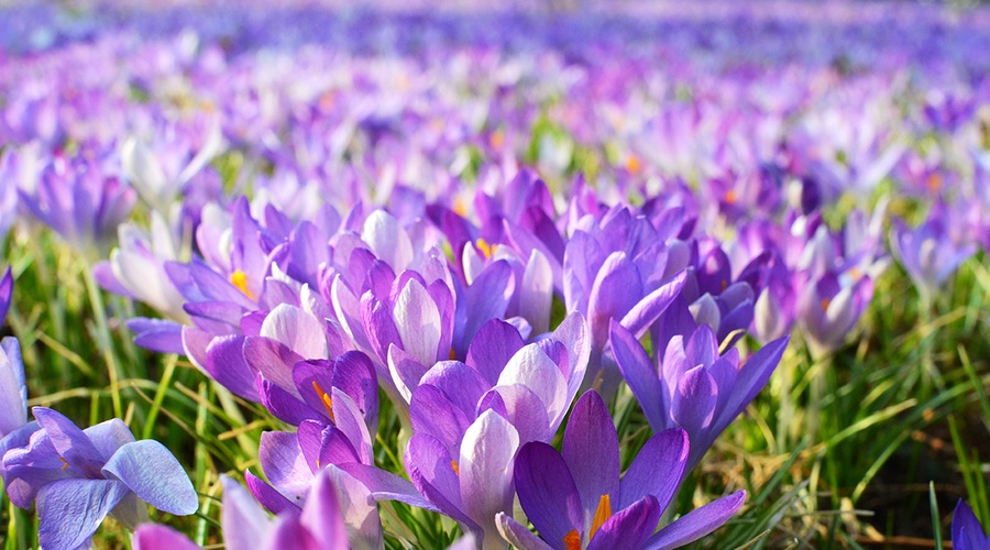 Sodelujte v natečaju in osvojite bogate nagrade! (foto: Shutterstock)