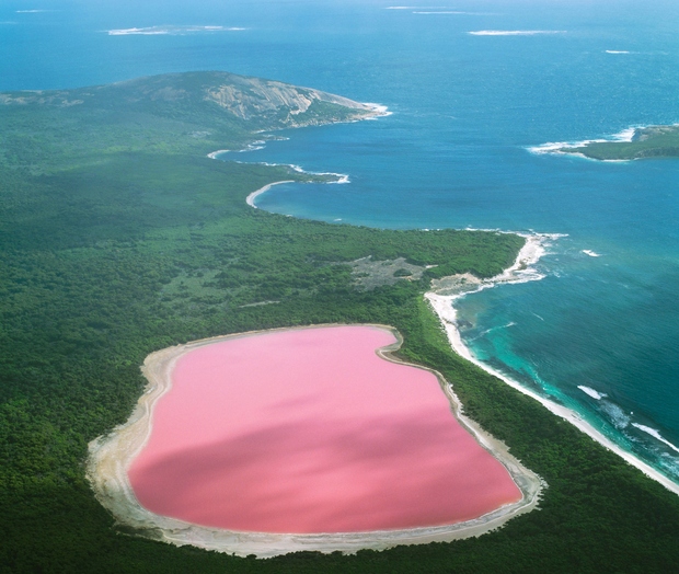 Hillier jezero, Avstralija Ali t. i. roza jezero. Jezero ni edino roza jezero na svetu, vendar je eno redkih, ki …
