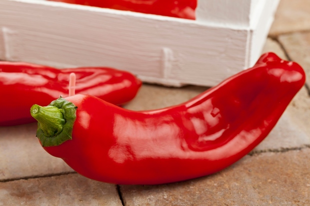 Paprika Paprika spodbuja izločanje sline in želodčne kisline, vpliva na gibanje črevesja, na pretok krvi in na krvni tlak. Deluje …