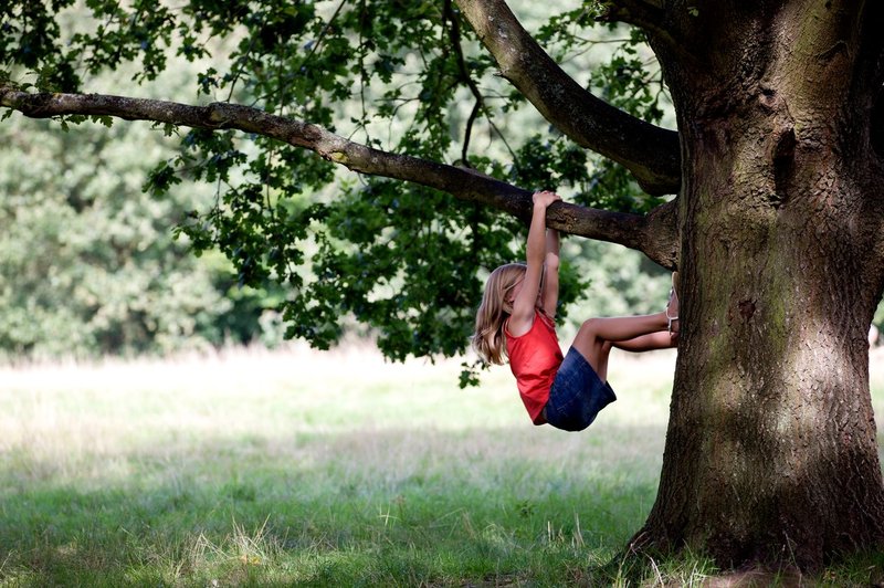 6 razlogov, zakaj bi morali otroci preživeti več časa v naravi (foto: Profimedia)