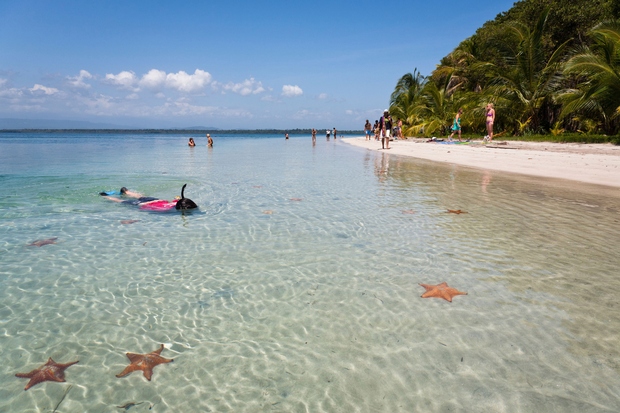 Starfish Beach, Panama Popotniki Panamo poznajo po najlepšem glavnem mestu v Srednji Ameriki. In zelo znanim panamskim kanalom ter otočjih: …