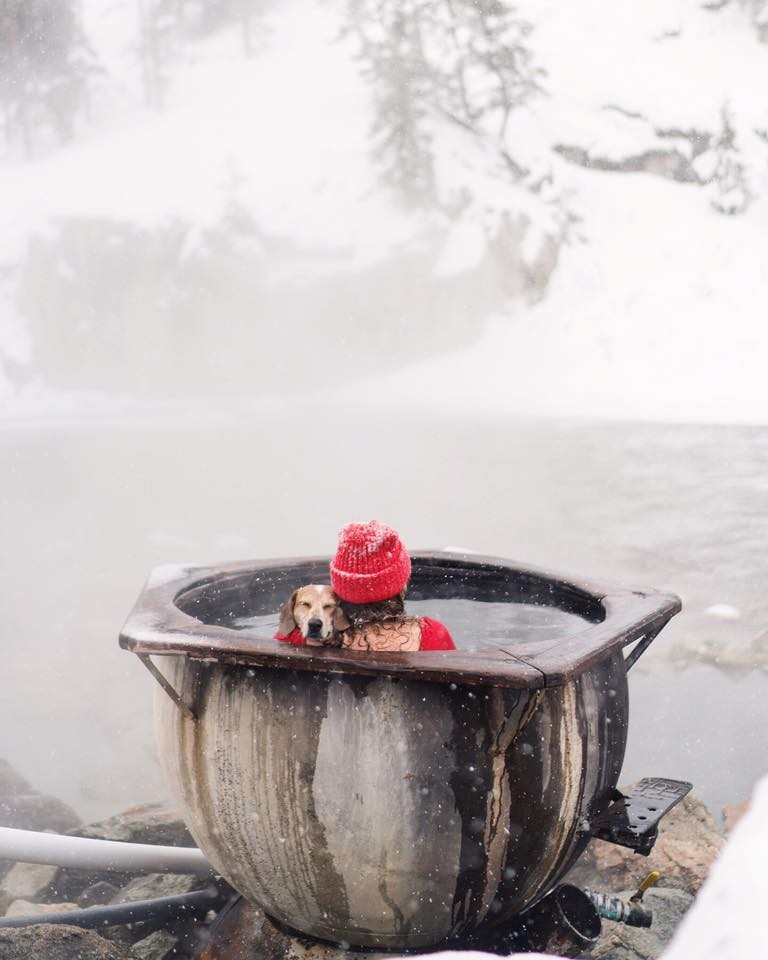 FOTO: Raziskovanje sveta s psom