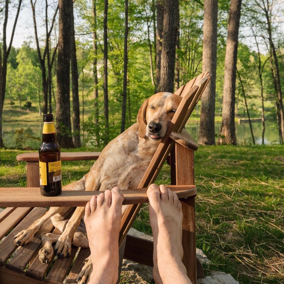 FOTO: Raziskovanje sveta s psom