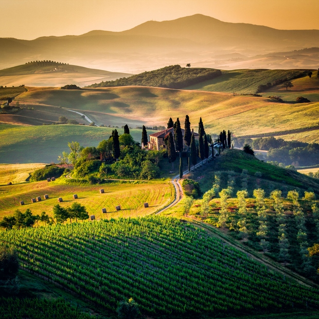 TOSKANA, ITALIJA Ob misli na idealno vinorodno pokrajino se večini ljudi pred očmi izriše gričevnata pokrajina Toskane. Prav gotovo je …