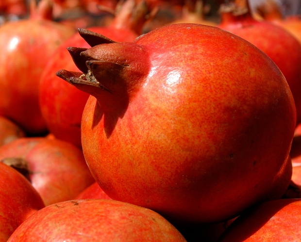 GRANATNO JABOLKO Granatno jabolko vsebuje polifenole – to so antioksidanti, ki zavirajo staranje. Celo dokazano je, da živila, bogata s …