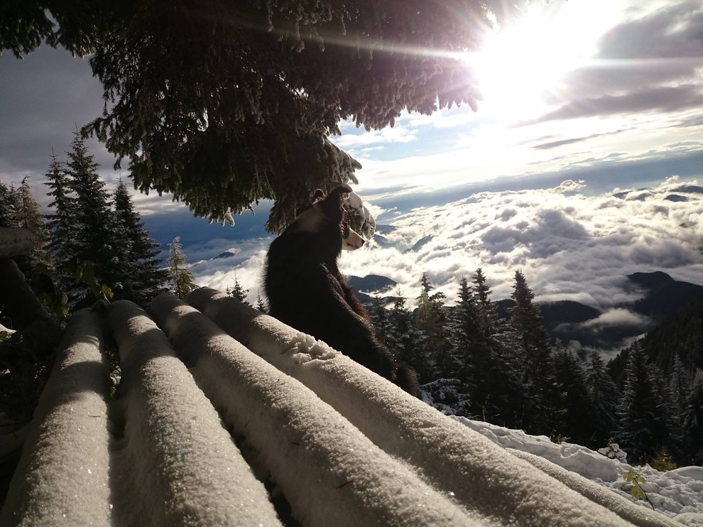 FOTO: Zimska pravljica na Peci