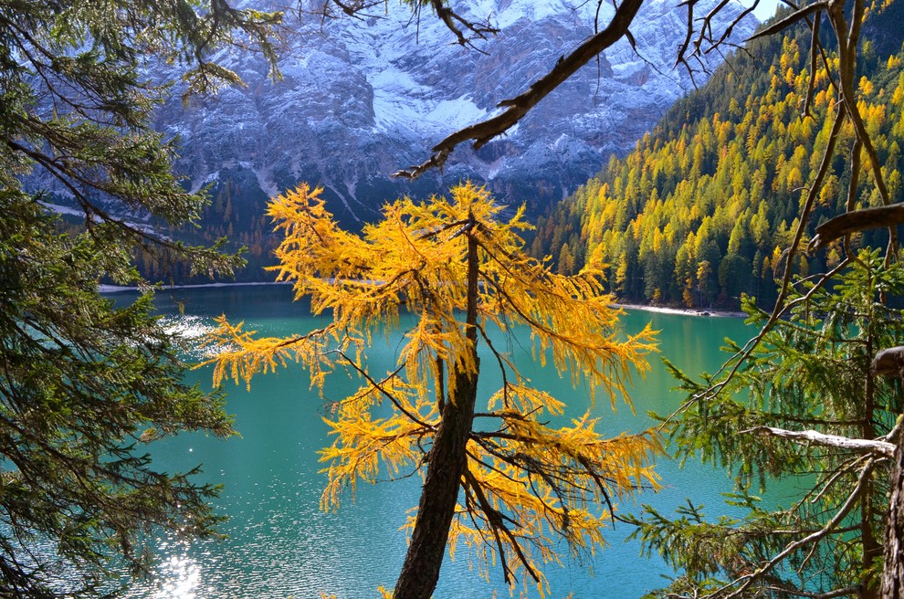 Jezero Lago di Braies ali Pragser Wildsee...