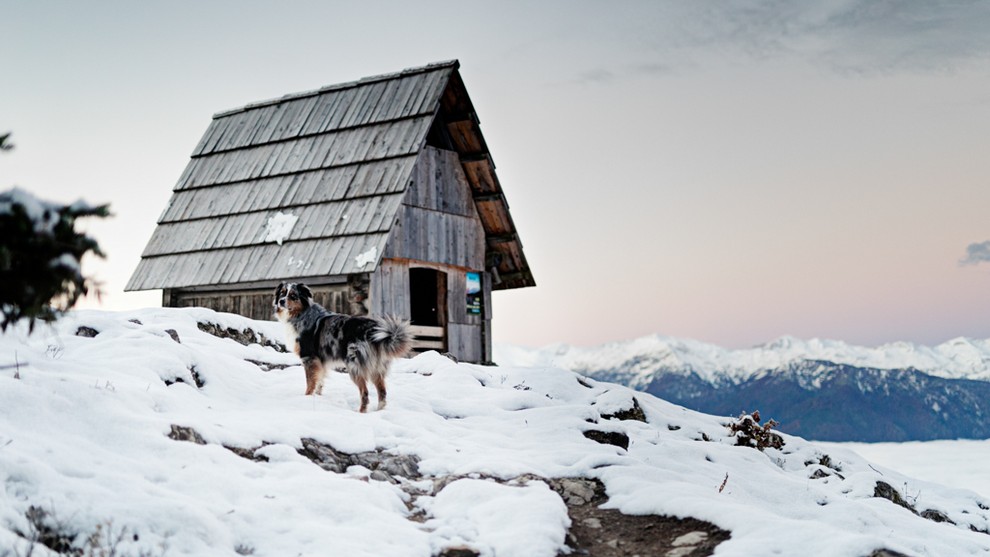 Foto: Jasna noč in prvi sneg na Zajamnikih