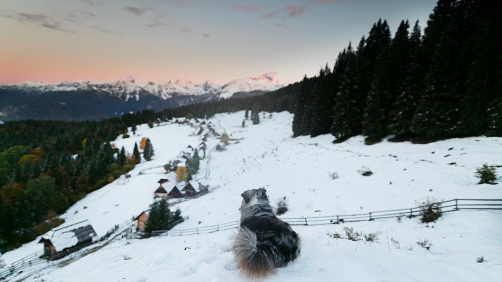 Foto: Jasna noč in prvi sneg na Zajamnikih