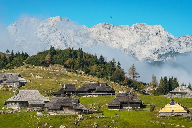 Krompirjeve počitnice na Veliki planini