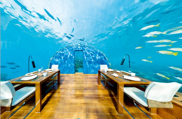 ITHAA UNDERSEA RESTAURANT Restavracija pod morjem, Maldivi Restavracija pod morjem je narejena pet metrov pod vodo in je namenjena le …