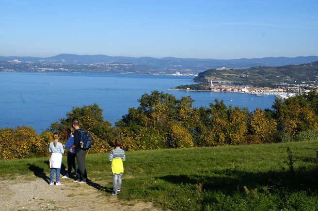 Ronek, foto: Milan Vinčec