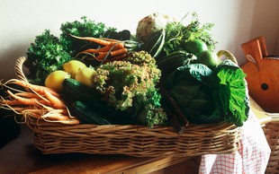 Z zelenjavo do boljšega delovanja možganov?