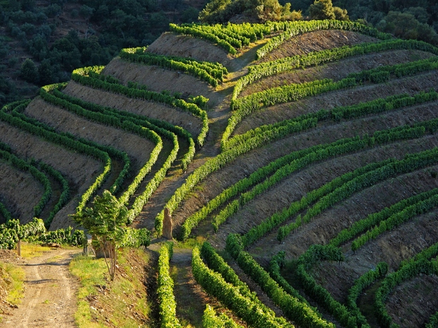 DOLINA REKE DOURO, PORTUGALSKA Vino ni prva beseda, ki jo večina ljudi poveže s Portugalsko, a področje, ki se razteza …