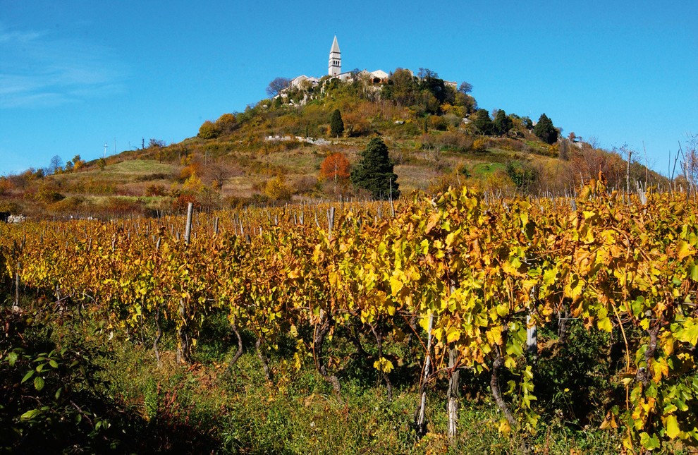 ISTRA, SLOVENIJA, HRVAŠKA Istrski polotok je vinorodno območje že od časov, ko so se po njem podili Jazon in argonavti. …