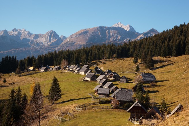 Izleti s Pokljuke: Zajamniki, Uskovnica ali Viševnik