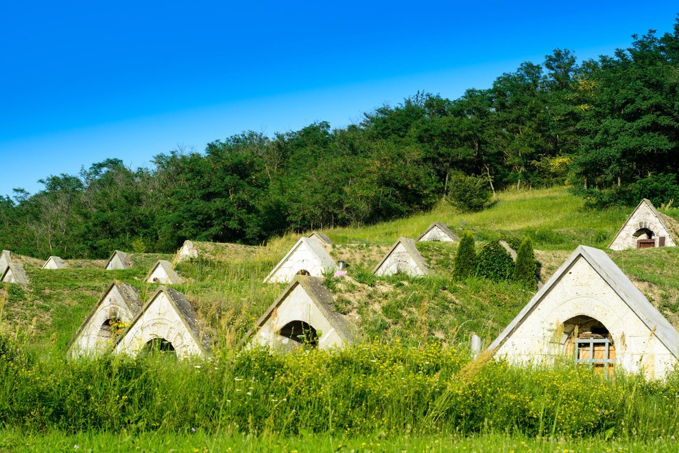 TOKAJ-HEGYALJA, MADŽARSKA Največje vinorodno področje na Madžarskem leži v severovzhodnem delu države in je, zahvaljujoč čudoviti razporeditvi vinogradov, tradicionalnim vasicam …