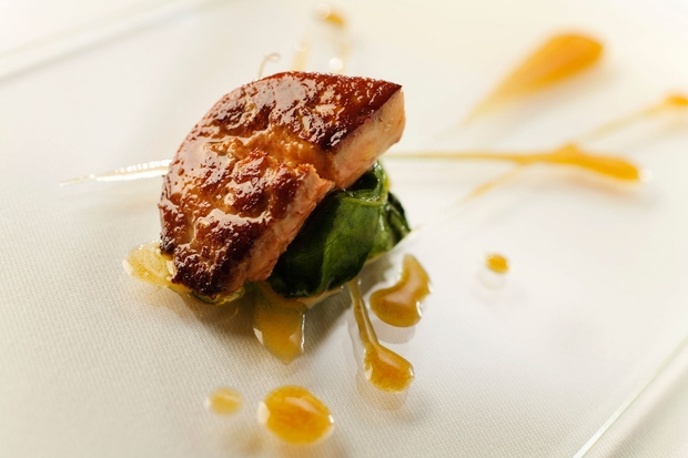 Francija: Foie gras - pripravljeno iz račjih ali gosjih jeter