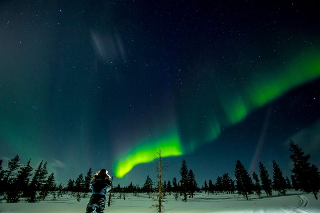 Foto: Polarni sij
