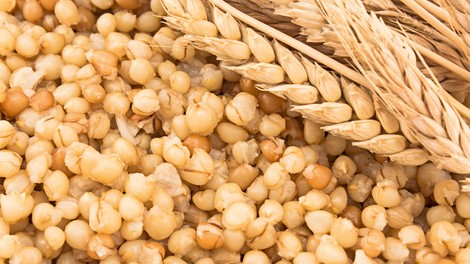 Za kaj je koristna kuhana pšenica?