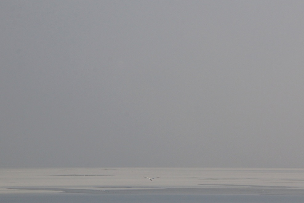 FOTO: Mistično zaledenelo Blejsko jezero. Ste bili tam?