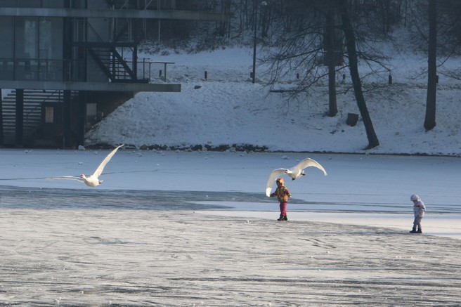 FOTO: Mistično zaledenelo Blejsko jezero. Ste bili tam?