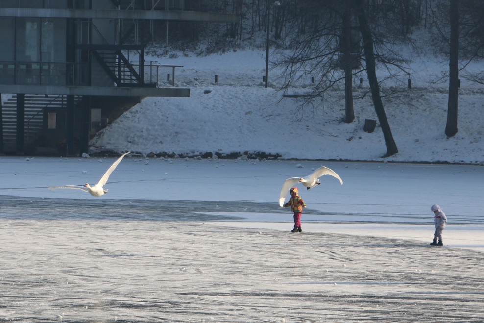 FOTO: Mistično zaledenelo Blejsko jezero. Ste bili tam?