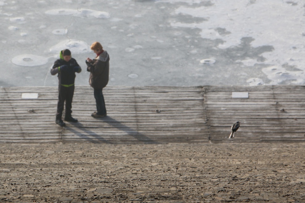 FOTO: Mistično zaledenelo Blejsko jezero. Ste bili tam?