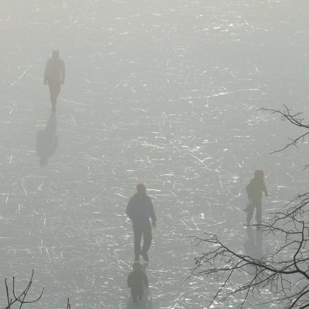 FOTO: Mistično zaledenelo Blejsko jezero. Ste bili tam?