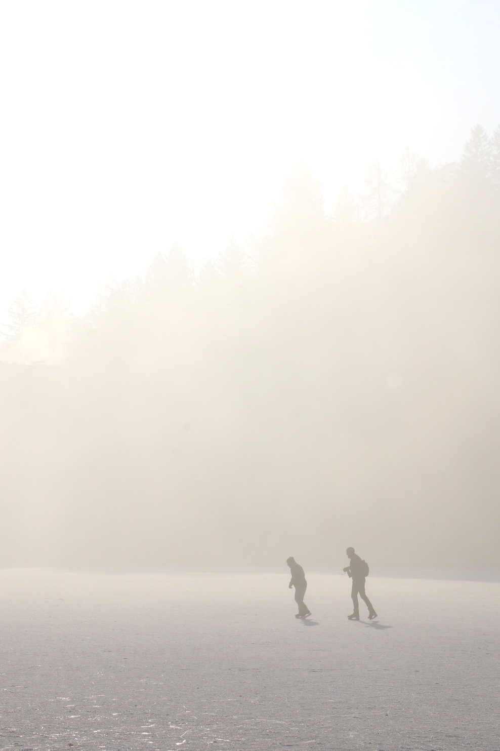 FOTO: Mistično zaledenelo Blejsko jezero. Ste bili tam?