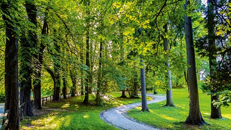 Zeleni turizem v Sloveniji