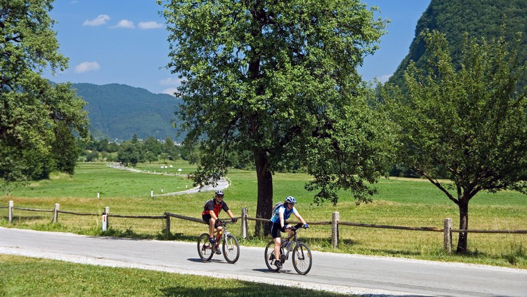 Najlepše kolesarske poti v Sloveniji (foto: Profimedia)