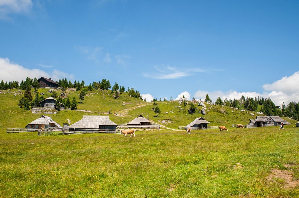 Velika Planina